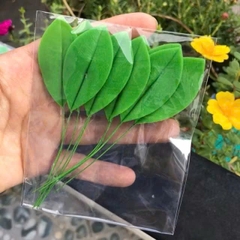 Lá hoa đất sét / lá mai / lá mai đất sét