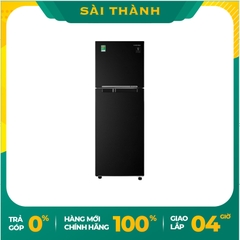 Tủ lạnh Samsung Inverter 236 lít RT22M4032BU/SV