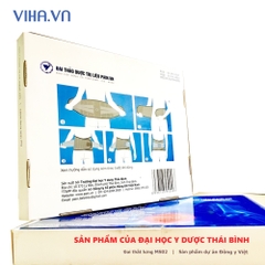 Đai Thảo Dược Trị Liệu Pain.VN