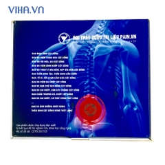 Đai Thảo Dược Trị Liệu Pain.VN