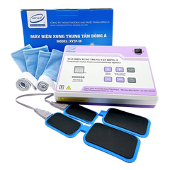 Máy điện xung trung tần Đông Á XYZP-IB