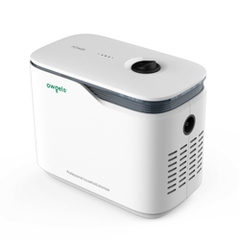 Máy Xông Khí Dung Owgels WH-702