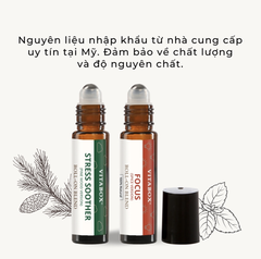Thanh lăn tinh dầu Vitabox 100% thiên nhiên hỗ trợ thư giãn, ngủ ngon, giảm ngứa do côn trùng cắn