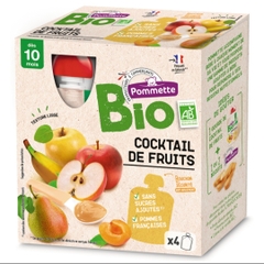 Trái cây nghiền hữu cơ Pommette dạng túi cho bé từ 10 tháng tuổi