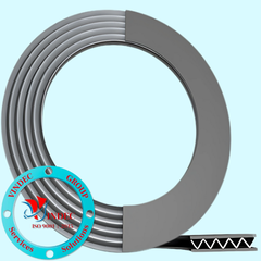 Corrugated Metal Gasket
