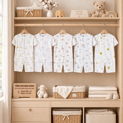 Body sơ sinh cộc tay petit VTKids VTBODY16