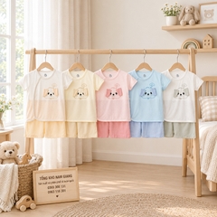 Bộ cộc sơ sinh thun lạnh HG HGBC5