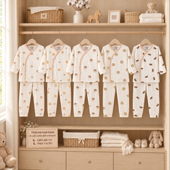 Bộ dài sơ sinh thun lạnh VTKids cài lệch VTBD18