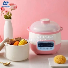 Nồi nấu cháo chậm Inbear 1.6L