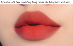 Son Kem Merzy Mellow Tint M8- Brie Rose