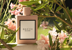 Nước Hoa Gucci Bloom Gucci EDP 150ml