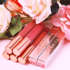 Son Bbia Last Velvet Lip Tint #17 More Pleasant
