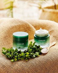 Mặt Nạ Ngủ Laneige Cica Sleeping Mask Mini 10ml
