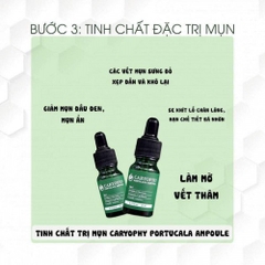 Tinh Chất Trị Mụn Caryophy Portulaca Ampoule 10ml‎