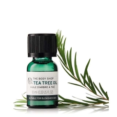 Tinh Dầu The Body Shop Tea Tree Oil 10Ml (Mới)