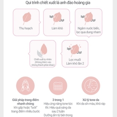 Kem Dưỡng Innisfree Jeju Cherry Blossom Tone-up Cream SPF30 PA+ 50ml