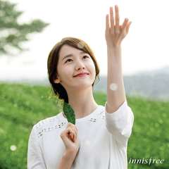 Kem Dưỡng Innisfree Green Tea Seed Cream 50Ml