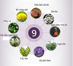 Kem Dưỡng Innisfree Perfect 9 Repair Cream EX 60ml