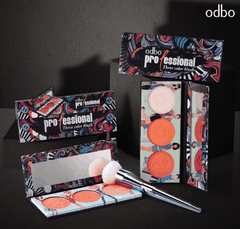 Bảng Má Hồng Odbo Professional Three Colour Brush