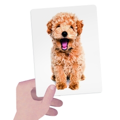 FLASHCARDS TACTILE MONTESSORI - Bộ thẻ chơi giúp phát triển trí não