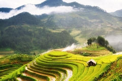 TOUR DU LỊCH MÙ CANG CHẢI: HÀ NỘI – MÙ CANG CHẢI – NGỌC CHIẾN 3N2Đ