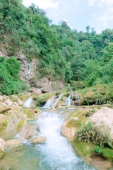 TOUR DU LỊCH MỘC CHÂU 2N1Đ TỪ HÀ NỘI GIÁ RẺ