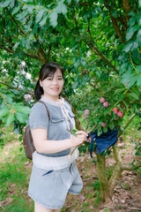 TOUR DU LỊCH MỘC CHÂU 2N1Đ TỪ HÀ NỘI GIÁ RẺ