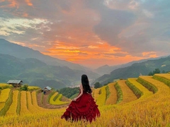 MÙ CĂNG CHẢI - NGỌC CHIẾN MIỀN CỔ TÍCH