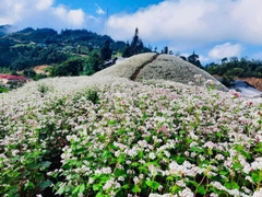 TOUR DU LỊCH HÀ GIANG CAO BẰNG 5 NGÀY 4 ĐÊM: HÀ NỘI - HÀ GIANG - CAO BẰNG - BA BỂ