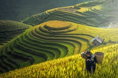 Du lịch Hà Nội - Lào Cai - Sapa - Hạ Long