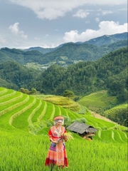 TOUR DU LỊCH MÙ CANG CHẢI 2 NGÀY 1 ĐÊM TỪ HÀ NỘI: ĐỒI CHÈ THANH SƠN – MÙ CANG CHẢI