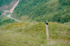 DU LỊCH BÌNH LIÊU MÙA HOA LAU