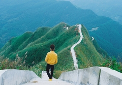 DU LỊCH BÌNH LIÊU MÙA HOA LAU