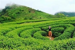 HÀ NỘI - BẮC YÊN - SĂN MÂY TÀ XÙA - HÀ NỘI 2 NGÀY 1 ĐÊM