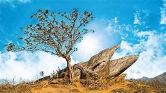 HÀ NỘI - BẮC YÊN - SĂN MÂY TÀ XÙA - HÀ NỘI 2 NGÀY 1 ĐÊM
