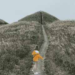 DU LỊCH BÌNH LIÊU MÙA HOA LAU