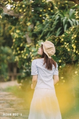 TOUR DU LỊCH MỘC CHÂU TỪ HÀ NỘI 2 NGÀY 1 ĐÊM