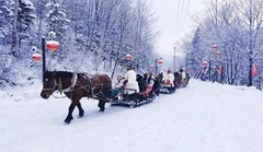 TOUR CÁP NHĨ TÂN 5N4Đ