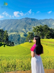 TOUR DU LỊCH MÙ CANG CHẢI: HÀ NỘI – MÙ CANG CHẢI – NGỌC CHIẾN 3N2Đ