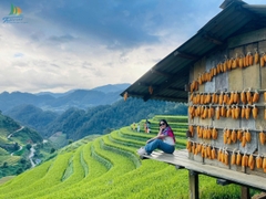 TOUR DU LỊCH MÙ CANG CHẢI: HÀ NỘI – MÙ CANG CHẢI – NGỌC CHIẾN 3N2Đ