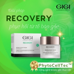 Kem phục hồi, giảm đỏ, giảm kích ứng da GIGI LABORATORIES Recovery Redness Relief Cream 50ml