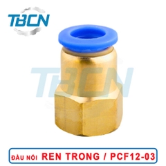 Đầu Nối Nhanh Khí Nén Ren Trong PCF12-03