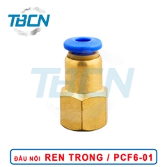 Đầu Nối Nhanh Khí Nén Ren Trong PCF6-01