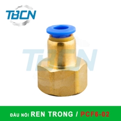 Đầu Nối Nhanh Khí Nén Ren Trong PCF6-02