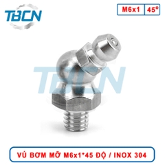 Vú Bơm Mỡ Góc 45 Độ M6x1 Inox 304