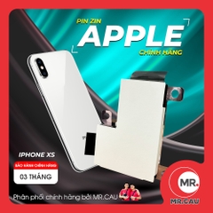 Pin Zin Apple Chính Hãng Cho iPhone XS