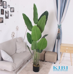 CÂY CHUỐI GIẢ TRANG TRÍ 1M80