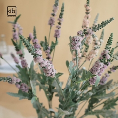 CÀNH HOA LAVENDER