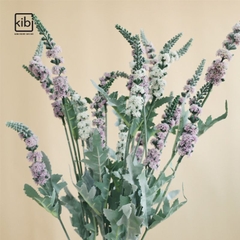CÀNH HOA LAVENDER