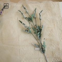 CÀNH HOA LAVENDER